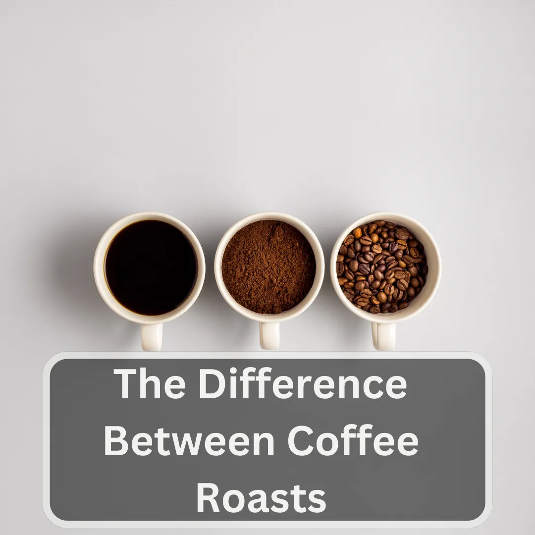 difference between coffee roast